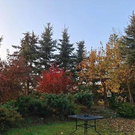 Pod Wierzba Na Kaszubach Daire Siemirowice